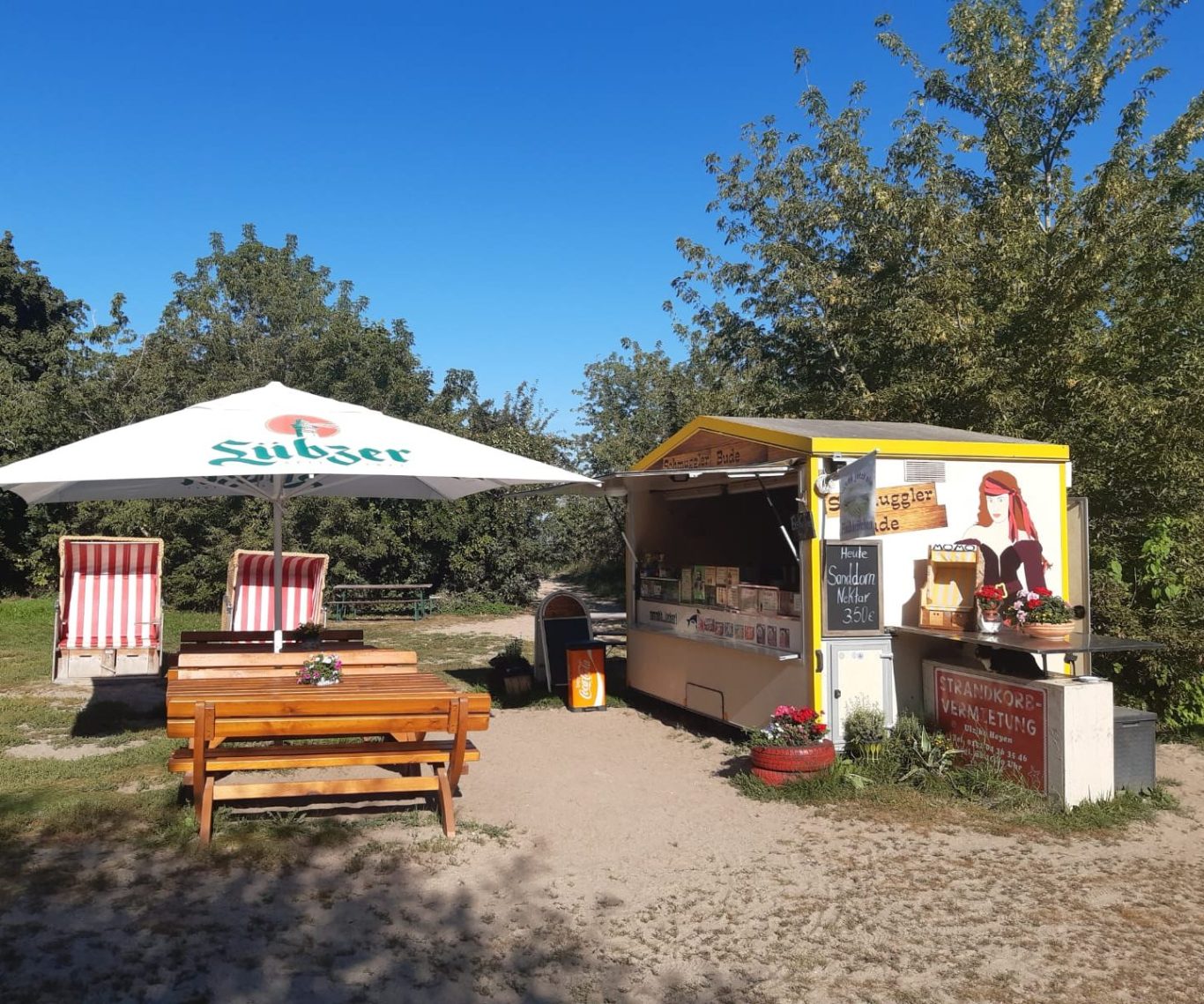 Ein Imbissstand mit einem Sonnenschirm, Tischen und Bänken in einem grünen Park.