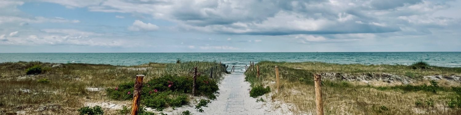 Blick auf den Ozean mit Dünen und einem schmalen Weg, bewölkter Himmel.