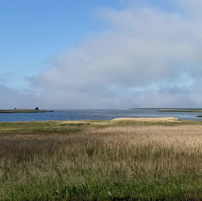 Weite Landschaft mit Wasserfläche und bewölktem Himmel, umgeben von Gras und Schilf.