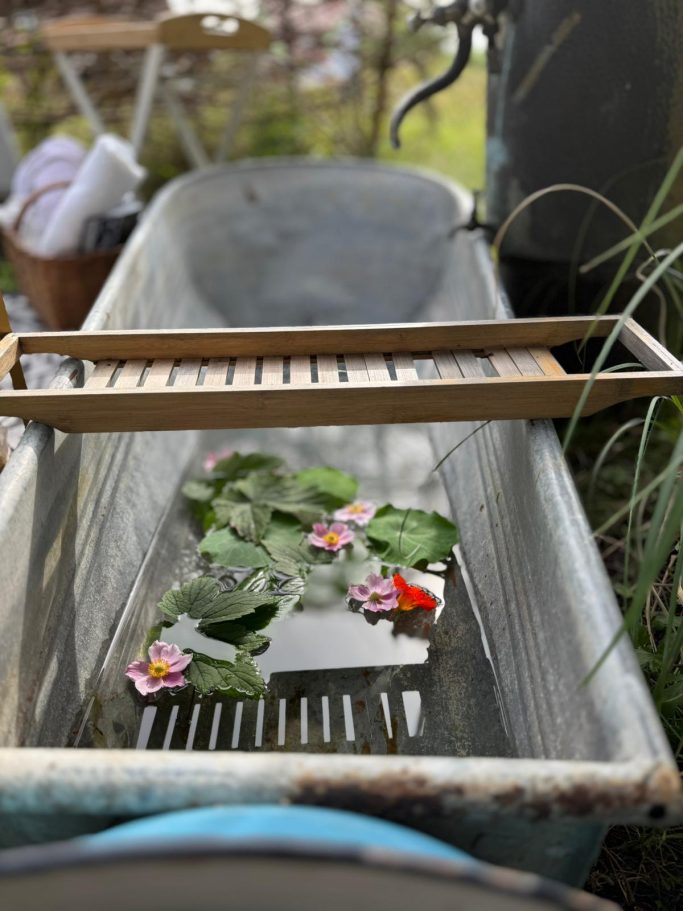 Eine alte Badewanne mit Wasser, darin schwimmenden Pflanzen und Blüten.